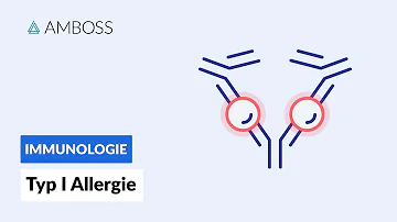 In welchem Zeitraum tritt eine allergische Reaktion auf?