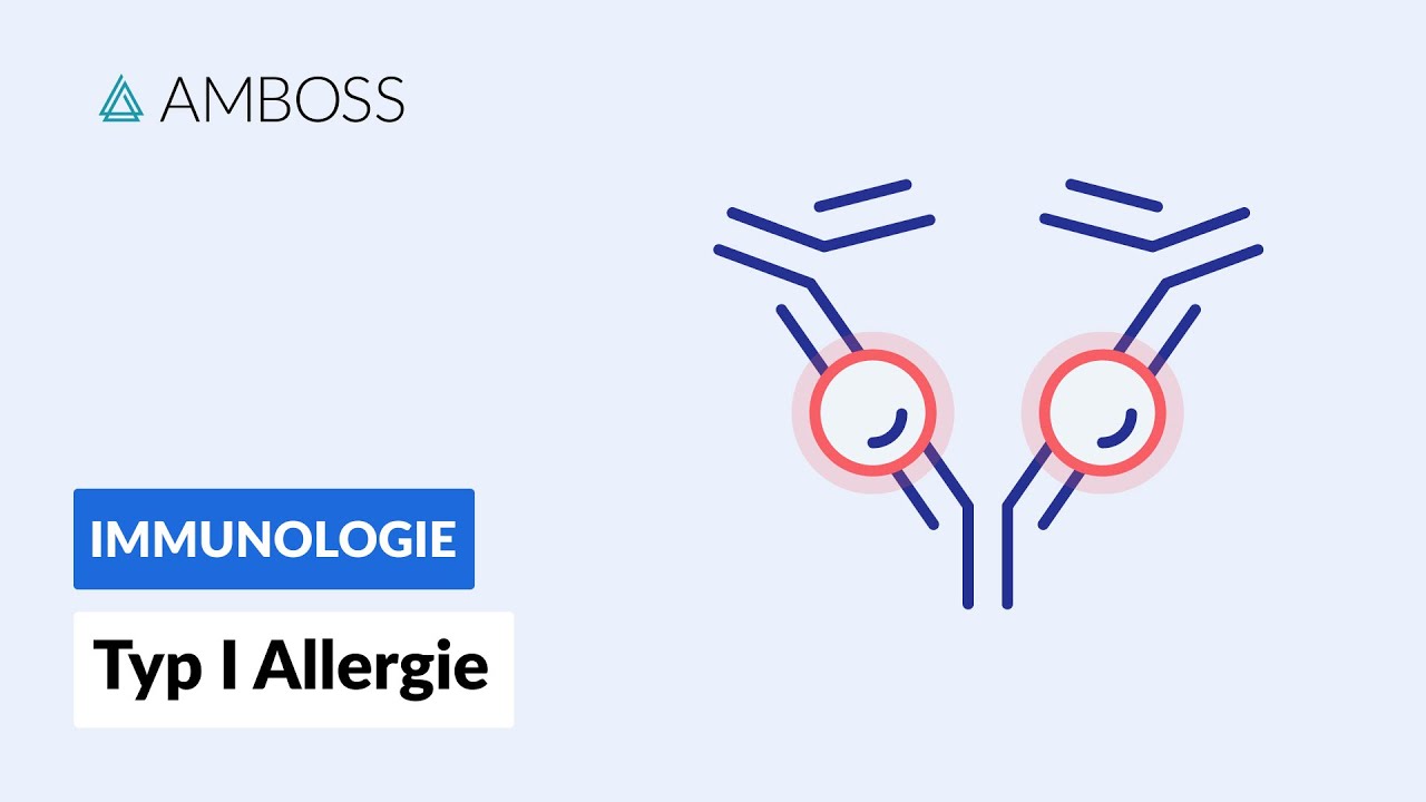 Wie entsteht eine Allergie?