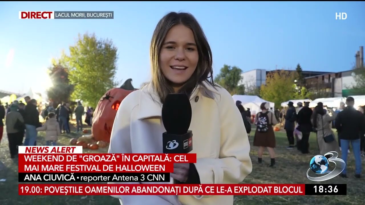 Surprize, concerte şi show cu drone, în a doua zi a festivalului West Side Hallo Fest