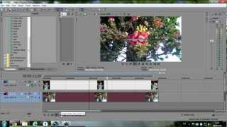 3D Source Alpha-Vegas Pro 11