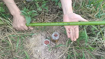 bộ cần câu đơn trúc xanh