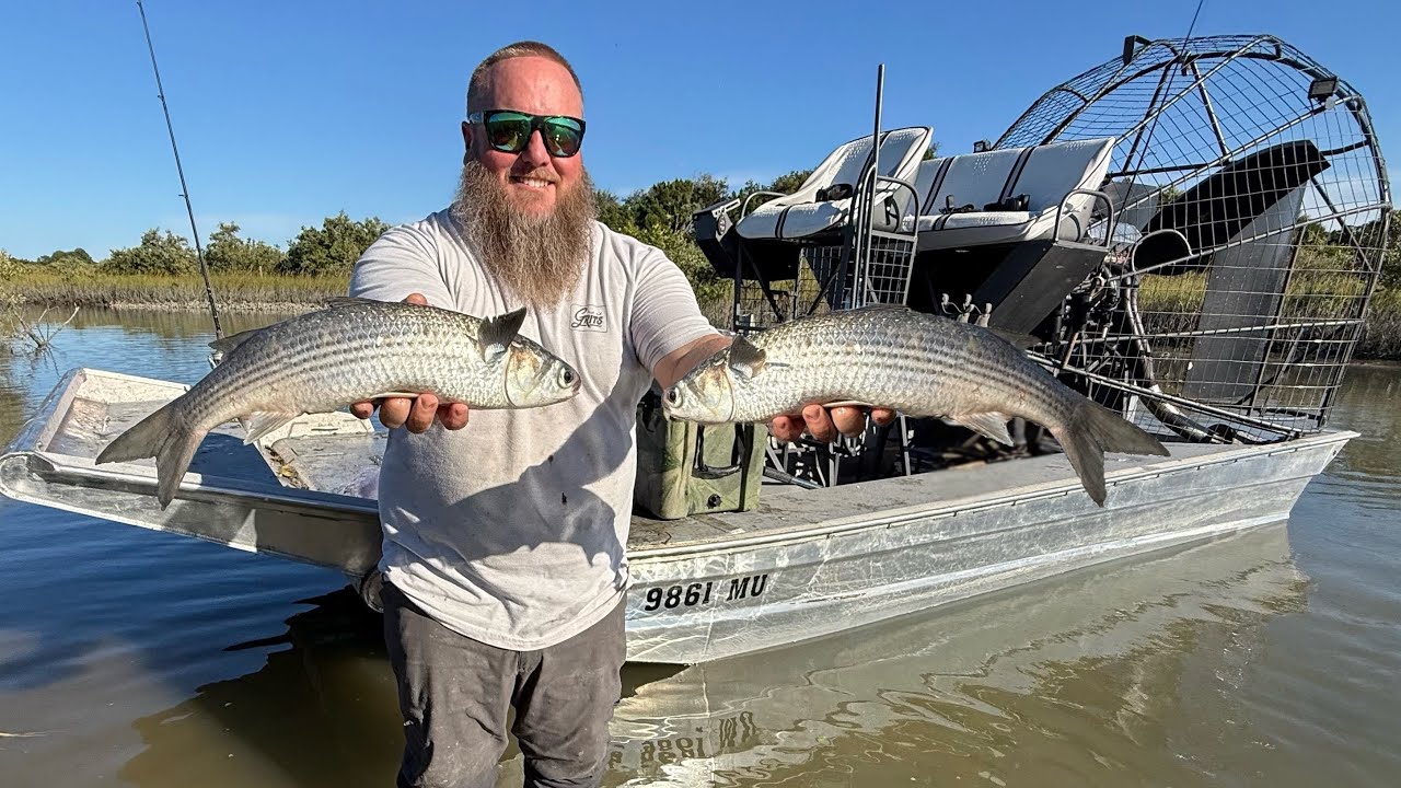 Smoked Mullet  - A Florida Tradition! Airboat - Catch - Clean - Cook