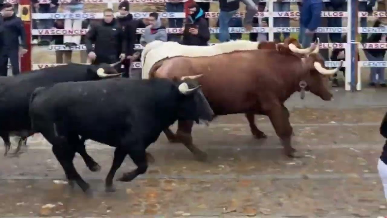 1 2 3 DIA DEL CARNAVAL 2026 DE CUDAD RODRIGO