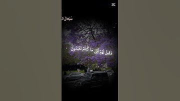 #القرآن_الكريم #اكسبلور #المصحف #يوتيوب #تلاوة_خاشعة #راحة_نفسية #الشعب_الصيني_ماله_حل