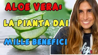 ALOE VERA: LA PIANTA DAI MILLE BENEFICI