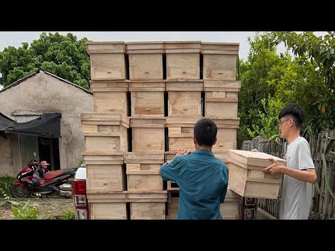 Video Ra lò lô thùng ong cực đẹp hàng đặt . - youtube