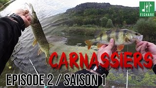 Pêche au leurre souple : brochet et perche en finesse - [Série Carnassiers]