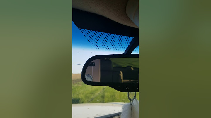 Mosquito Invasion