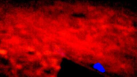 The blur redcat caldera 10e lipo