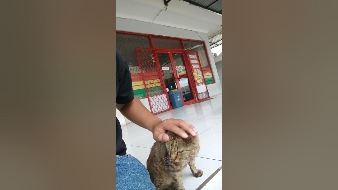 Galau gara2 monet YT hilang.. hehehe.. jadi obat stress nya mainan