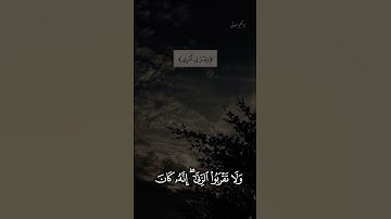 القارئ الفاضل حمزه اليافعي