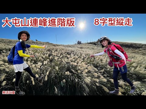 大屯山｜主峰｜南峰｜西峰｜面天山｜向天山｜向天池｜二子坪｜鞍部停車場［樂活玩童NO.112]2023/11/03