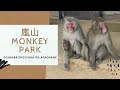 嵐山 Monkey park