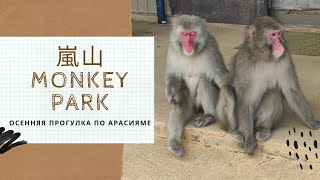 嵐山 Monkey park