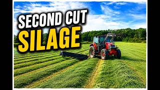 Second cut silage 2026. screenshot 3