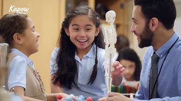 Transform Teaching - Science Scheme Of Work For Primary!