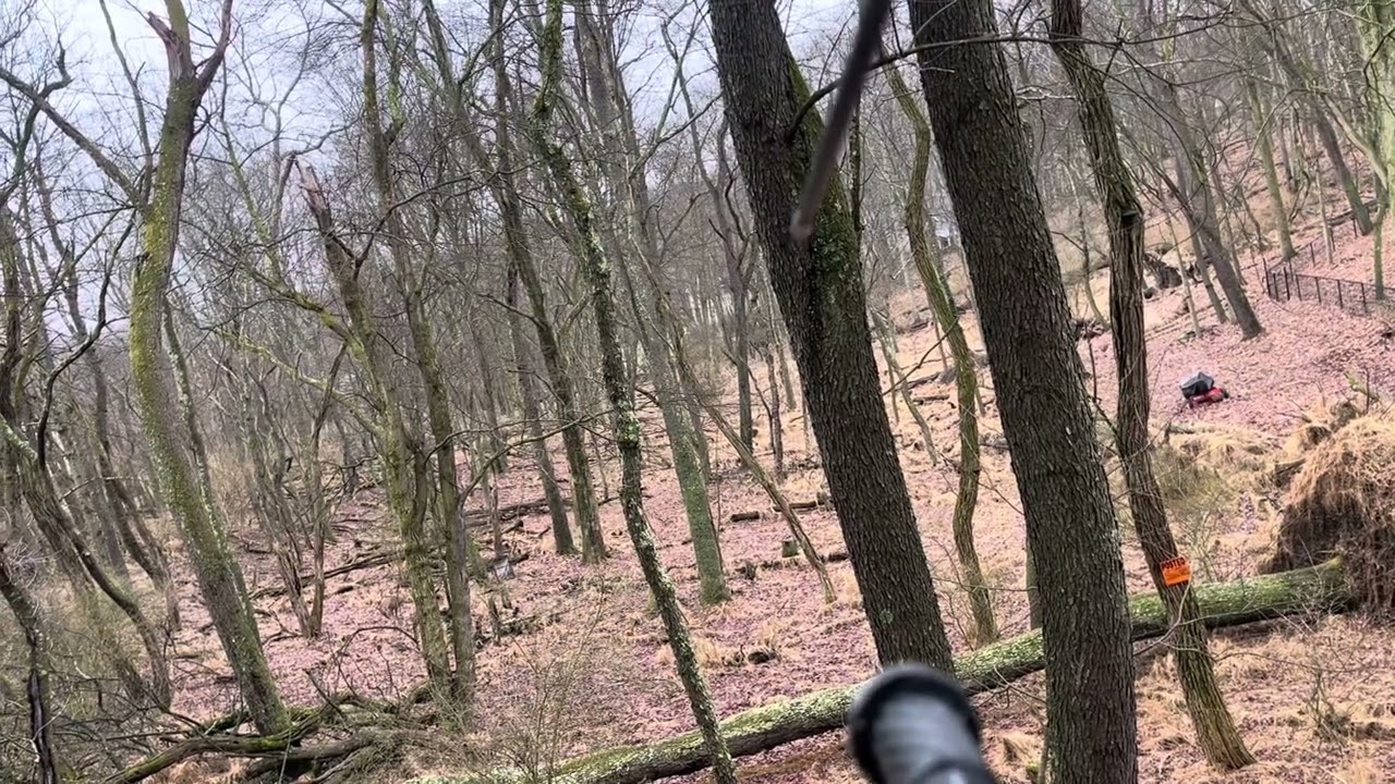 LATE SEASON ARCHERY Deer Hunt Pennsylvania 2024! Last day success!