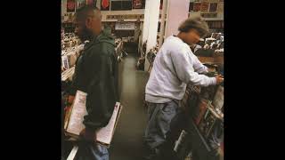 DJ Shadow - Stem / Long Stem