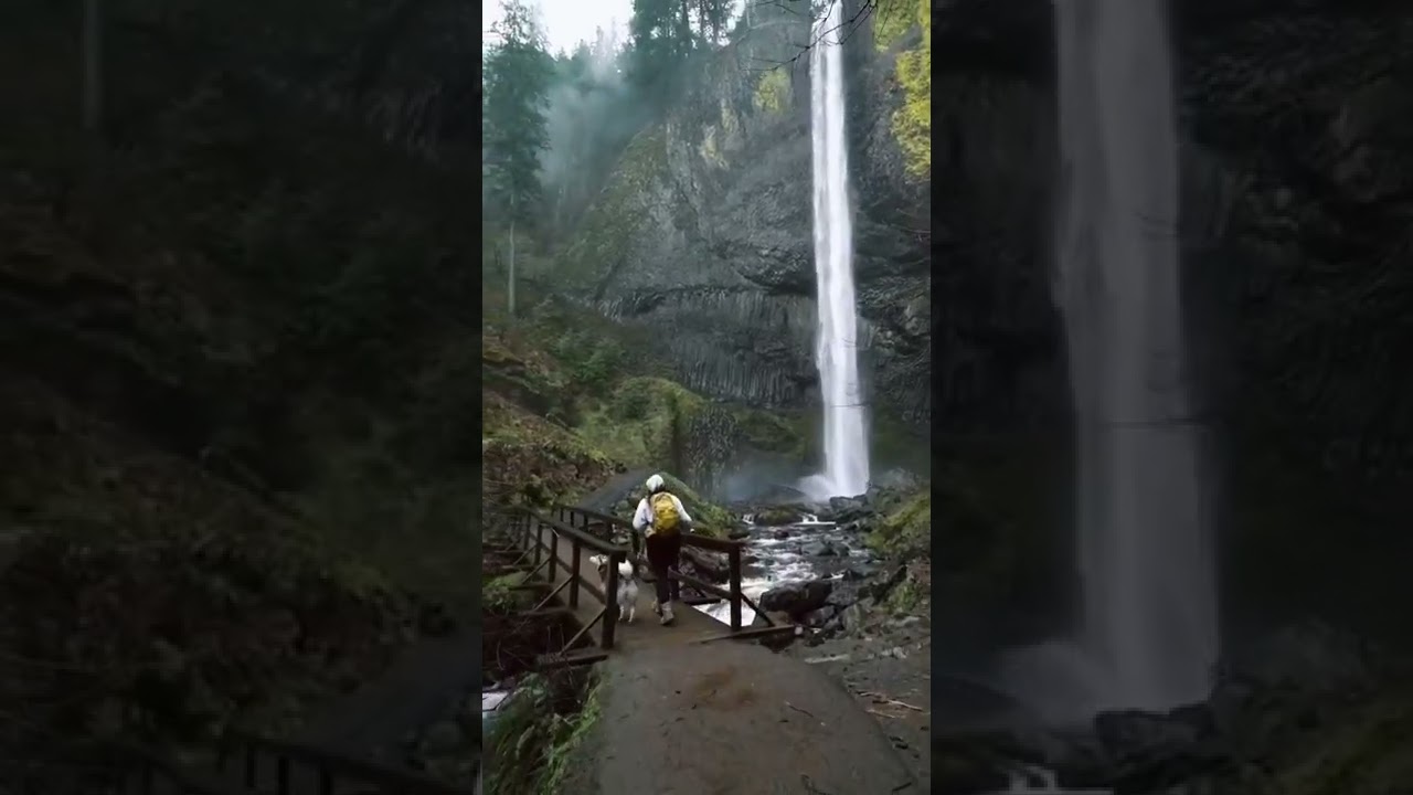 Watch alone mountain status 🙂 | #reels21 #shorts #status #reels #trending #viral #tiktok #alone on YouTube Watch alone mountain status 🙂 | #reels21 #shorts #status #reels #trending #viral #tiktok #alone on YouTube