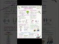 Asexual vs Sexual Reproduction Explained | Class 11 Biology Chapter 2 #biologyclass #biology