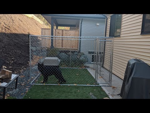 how-to-build-a-chain-link-dog-kennel-run