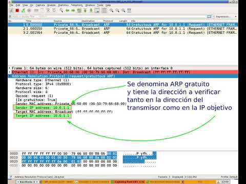 Arp Ggratuito