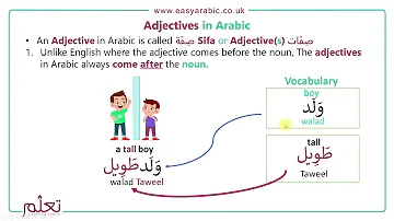 Where do adjectives go in Arabic?
