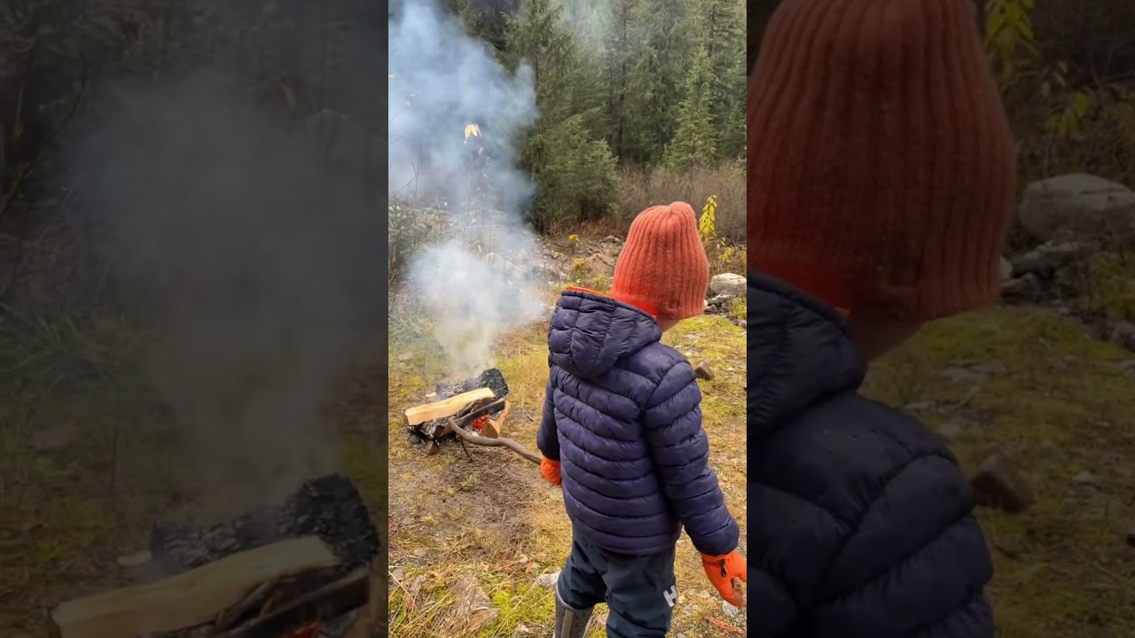 Forest Service Road adventure and family fun. Mountain lion tracks in the snow