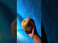 "Nature’s own medicine 🍋✨ #FunnyShort #VillageLife #SilentVlog #DesiMood"