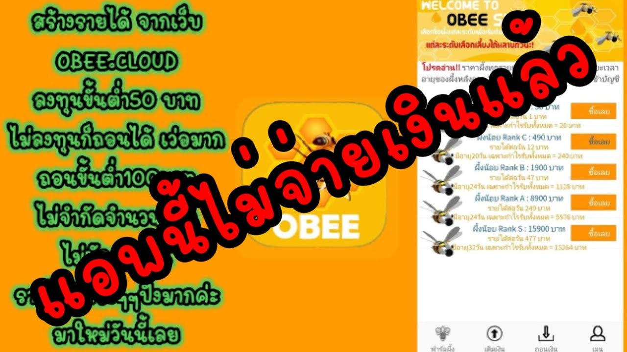 รายได้จากเว็บไซต์  2022 Update  สร้างรายได้ จากเว็บ OBEE.CLOUD