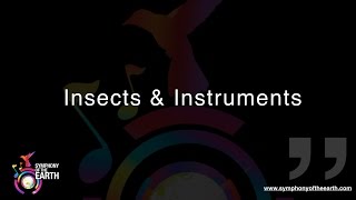 Insects & Instruments - Symphony of the Earth Interview - Dr Jim Frazier
