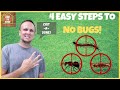 4 Easy Steps To Do Your Own Pest Control At Home | How I Do My Own Pest Control
