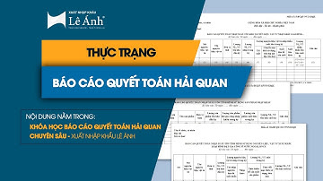 KHÓA HỌC BCQT HẢI QUAN | Thực Trạng Báo Cáo Quyết Toán Hải Quan | Xuất Nhập Khẩu Lê Ánh