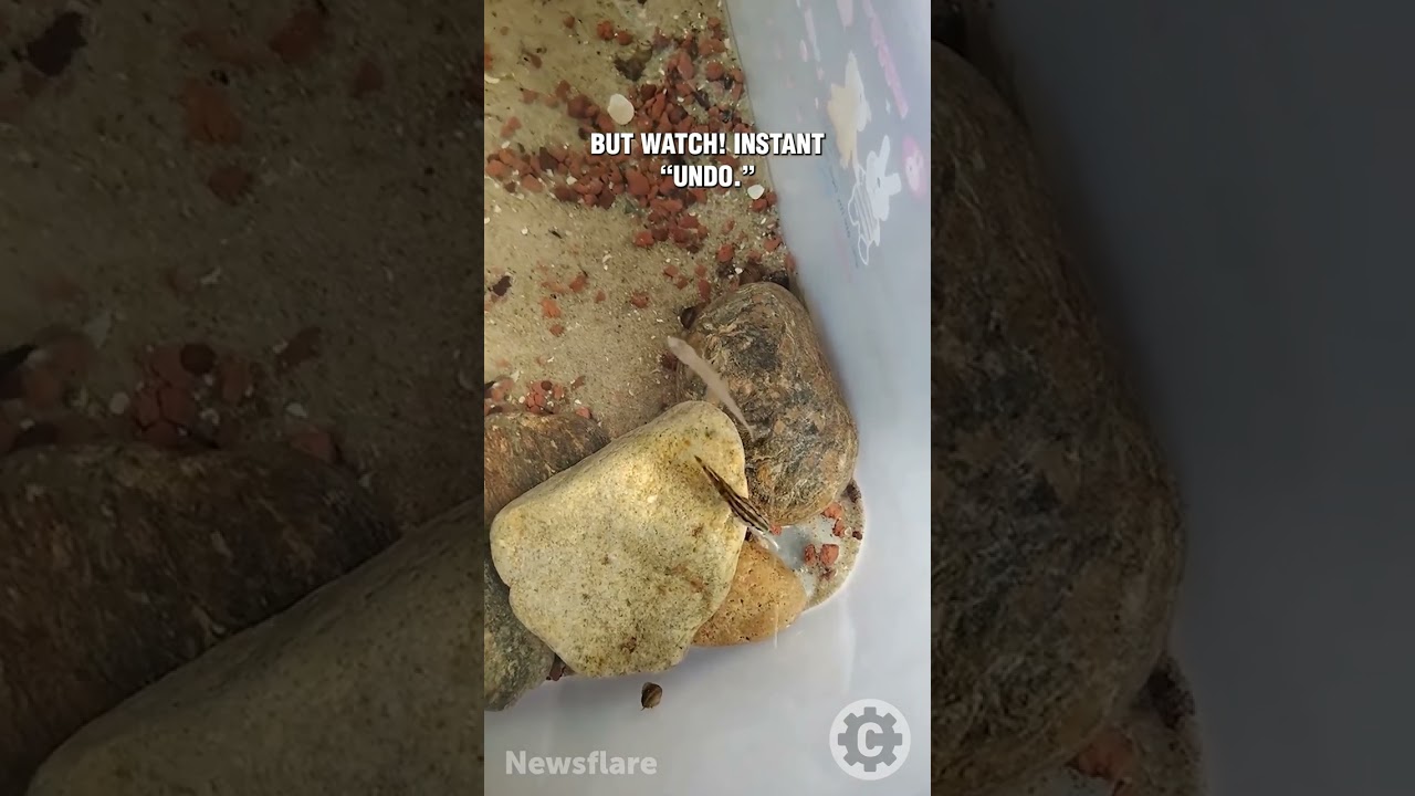 When you bite off more than you can chew… literally 🐠