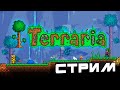 Нуб на стрелке // СТРИМ // Terraria