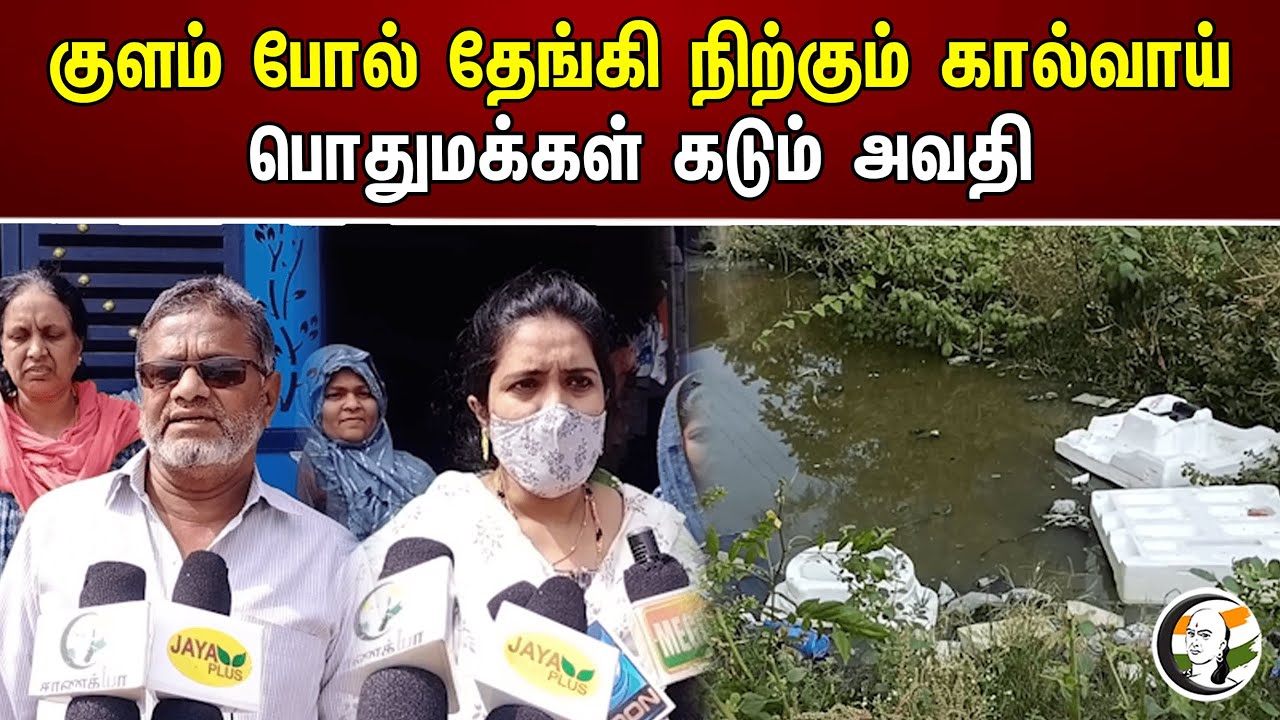 குளம் போல் தேங்கி நிற்கும் கால்வாய் பொதுமக்கள் கடும் அவதி | Sewage