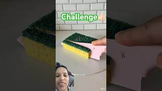 Real Or Cake Challenge