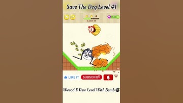 Save The Dog Level 41 #shorts #shortvideo #shortvideo #viral
