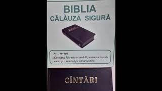 Strain pribeag si calator