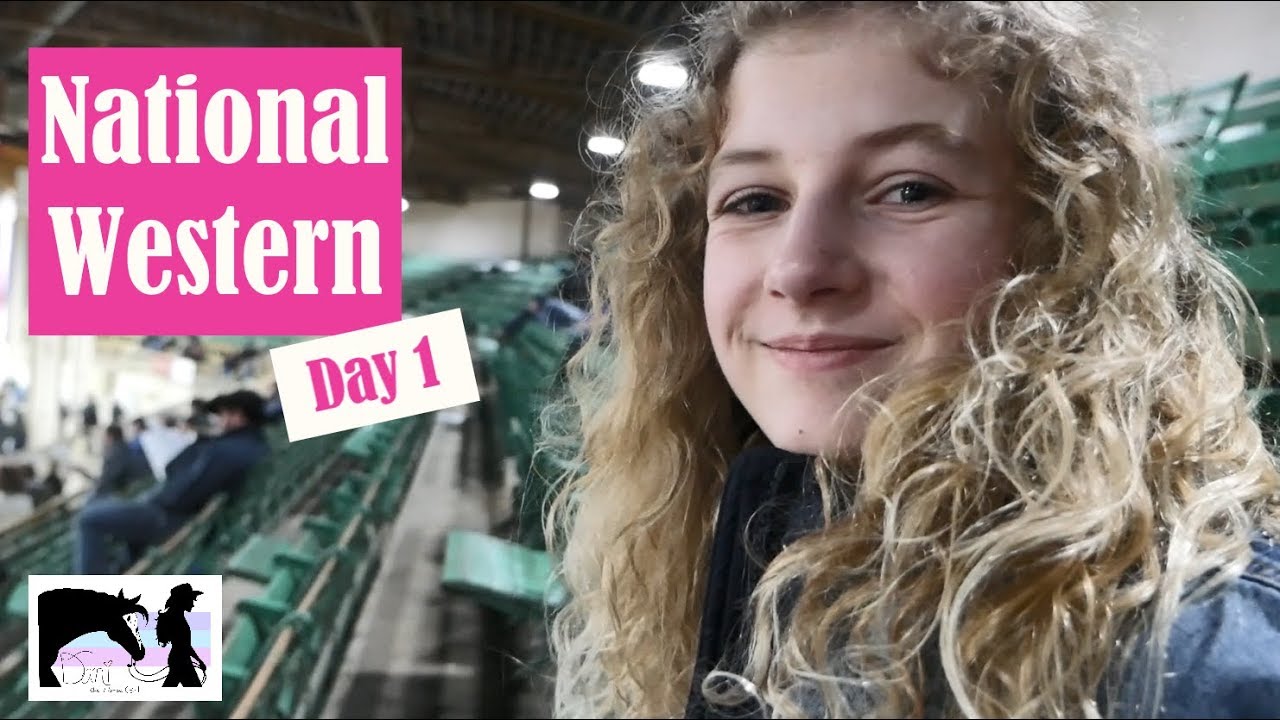 Red Angus Bull Champion