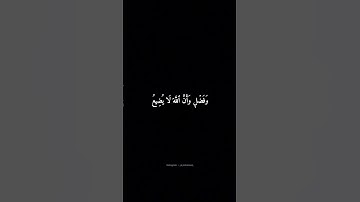 سورة آل عمران | يَسْتَبْشِرُونَ بِنِعْمَةٍ مِّنَ الله #المنشاوي #شاشه_سوداء #قرآن #سورة_آل_عمران