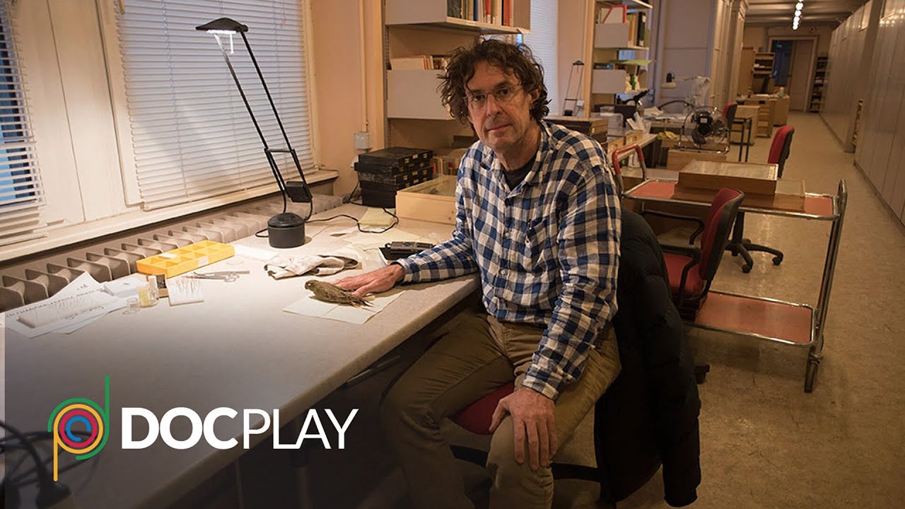 Night Parrot Stories | Official Trailer | DocPlay