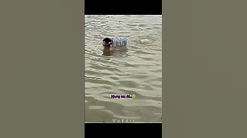 Người thành công có lối đi riêng thật bất ngờ 😂#shorts #edit #trollface #viralvideo