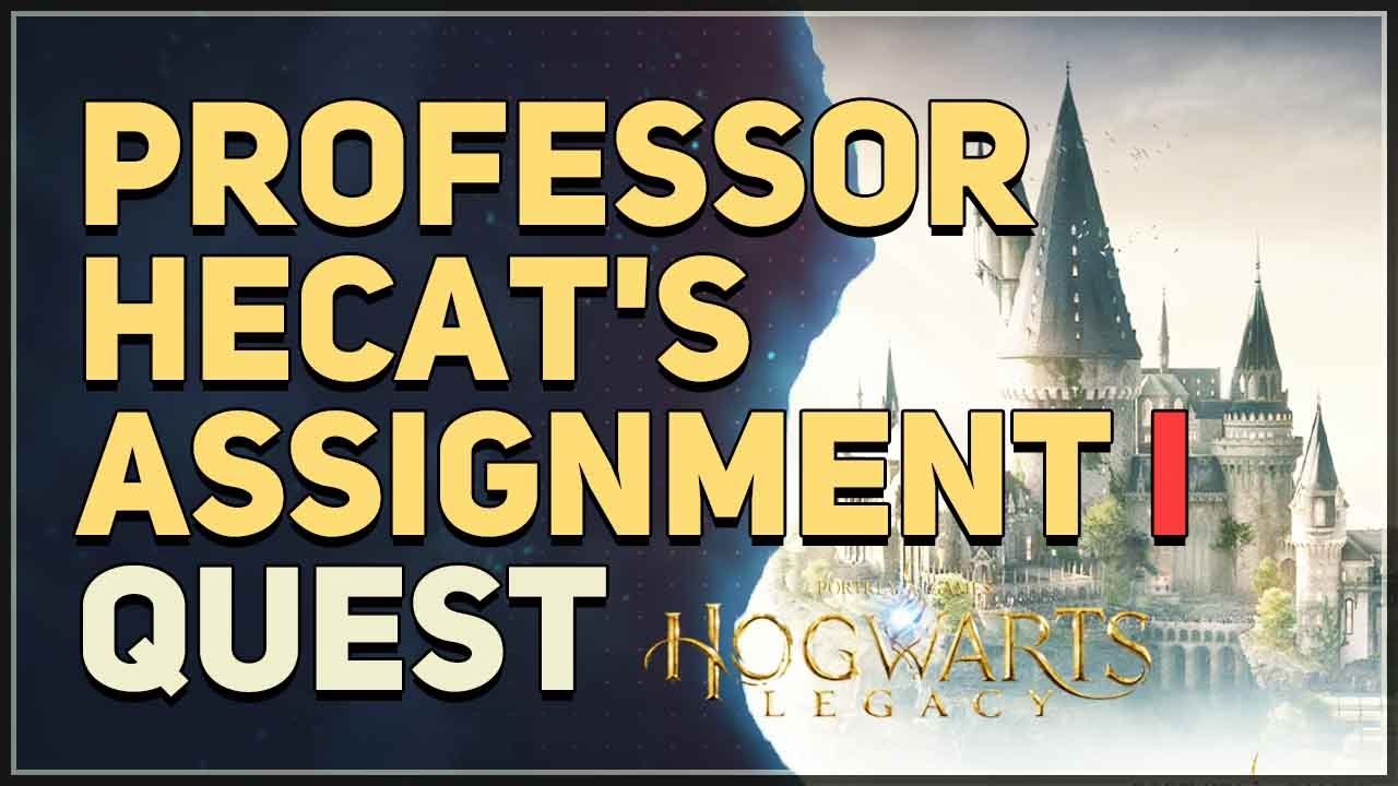 professor hecat assignment 1