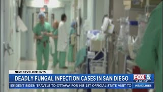 Deadly Fungal Infection Cases In San Diego
