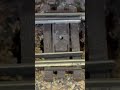 The Switch Is Aligned