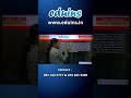 Drama Fear? Gone 😎 #shorts #youtubeshorts #viral #trending #shortsfeed
