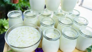 3 LỖI THƯỜNG GẶP KHI LÀM SỮA CHUA NHA ĐAM TẠI NHÀ (SỮA CHUA NHỚT VÀ KHÔNG ĐÔNG) - CKK