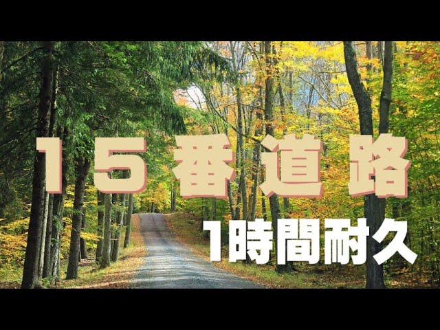 ポケモンxy 15番道路 Bgm 1時間耐久 Youtube