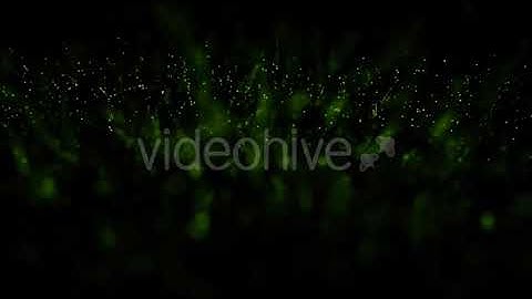 Greenery Loop V2 | Motion Graphics - Envato elements